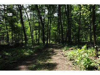 TRACT 4 - MICHIGAN LAND AUCTION, 475+/- ACRES OFFERED IN 4 TRACTS WITH 9 PIVOTS IN ST. JOSEPH COUNTY